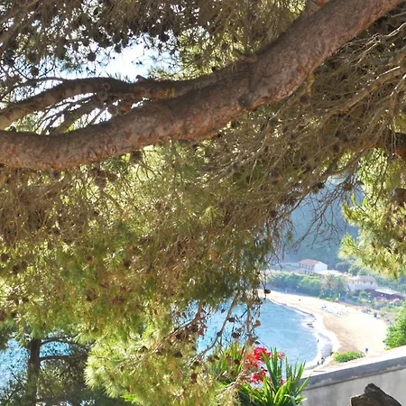 Apartments, Adult And Childrens Pool, Sea View - Beach, Corfu * פלקאס